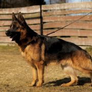 PIORUN z Więcborskiej Doliny 