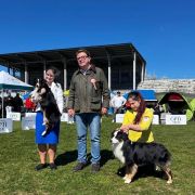 YOU ARE CUTE MINI'S Tatranska Labka FCI