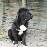 NOCH IŻ DOMA LOTSMAN