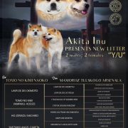 MAMORI IZ TULSKOGO ARSENALA