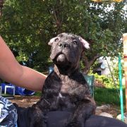 BLOW YOUR MIND Your Destiny FCI