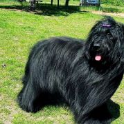 GODDNESS OF MY VICTORY Victory of Love