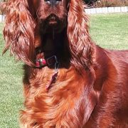 AMORE INFINITO Kucciolotti 