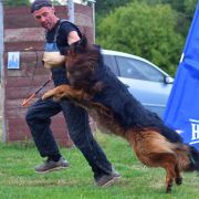 Eldorado Wolf Lake FCI