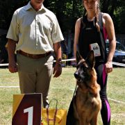 Greys vom Yambwelle Hof