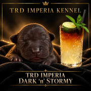 TRD IMPERIA DARK ‘N’ STORMY
