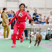 NEVER SAY NEVER VIA FORTUNA