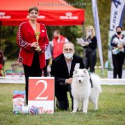 DANIKA DAILY HOLIDAY 