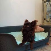 GATSBY Babimojskie Gniazdo