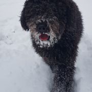 NICCI Au Domaine De PEYCHEC