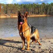 LEIKA Asarko Lordana