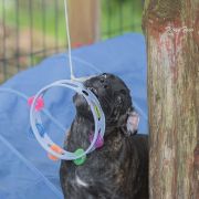 BLOW YOUR MIND Your Destiny FCI