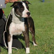 ​Ring Legend's Ronda Rosy