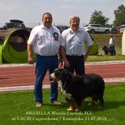 ANABELLA Wesoła Czereda FCI CH Pl, Mł.Ch PL, Club Winner, Baby Club Wi