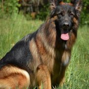 Arrakis vom Rikor Team 