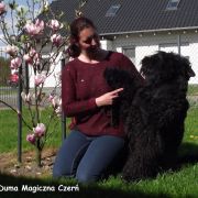 Duma Magiczna Czerń FCI