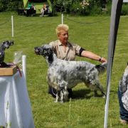 White Apollo Lofty 'AJ'