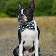 Christian Dior Salamanka