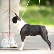 ABSOLUTELY CHARMING SUNNY BUNNY