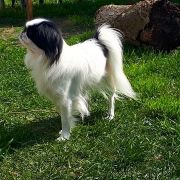 FEDERICA BALTIC SAND