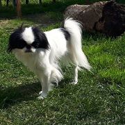 FEDERICA BALTIC SAND 2