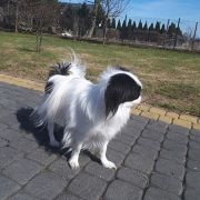 FEDERICA BALTIC SAND 3