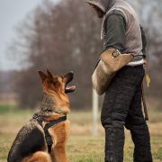 Fella Weisser Rabe 3