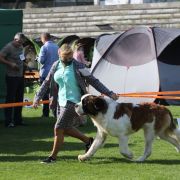 Yukon Wielkopolski Bernardyn (FCI)