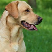 Masters of Water Tequila