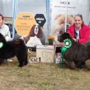 MONALYN MAGIC STAR DALIDA FOR MONASIM