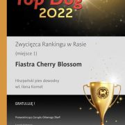 FIASTRA Cherry Blossom