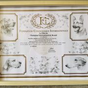 FIASTRA Cherry Blossom