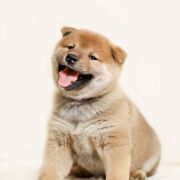 Fioletowy (kolor znacznika) 3