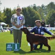 Fire of Freedom Dragonborn HeMan 2