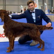 Fire of Freedom Dragonborn HeMan 3