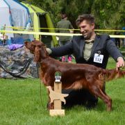 Fire of Grace Dragonborn – Grace 2