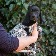 Florencja Z Magicznej Kniei