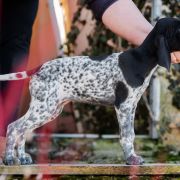 Florencja Z Magicznej Kniei