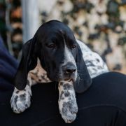 Floryda Z Magicznej Kniei