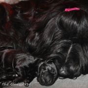 'F' Flower of the Uviverse