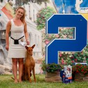 Fong d'Arias Fifty Amazing Angel