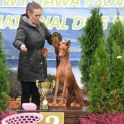 Fong d'Arias Fifty Amazing Angel