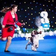 FOXBERRYHILLS ZILLION OF SMILES