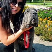 Francesco Maestral Kennel Z Montenegro 