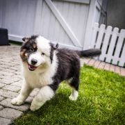 Fuks Z Bratkowej Ohany