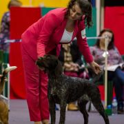 GABI z Żukowskich Pól