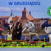 GABI z Żukowskich Pól 4