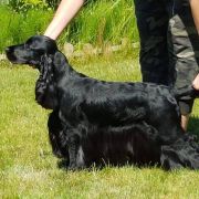 GAME OF THRONES MEERA Renmils Dream