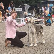 Ghuroob Ghazi Tall Afar