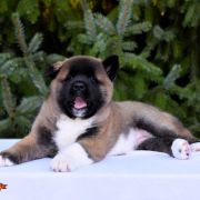 GIRL POWER GABRIELLA